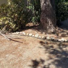 Before new lion enclosure construction moorpark ca (4)